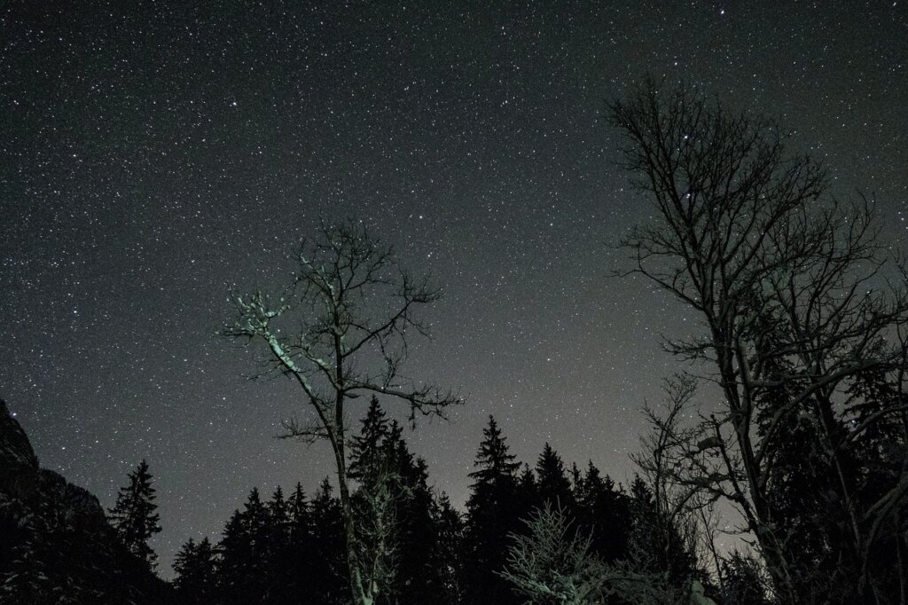 Celestial Delights: February Night Sky Offers a Stellar Showcase