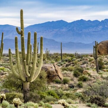 Visa for Arizona